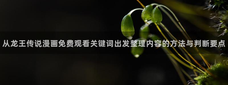 动作漫画:从龙王传说漫画免费观看关键词出发整理内容的方法与判断要点
