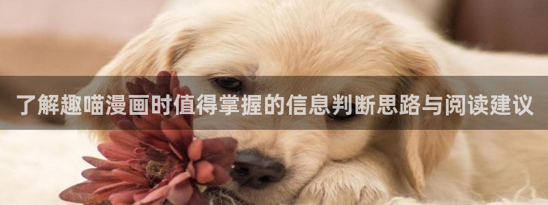 在线漫画:了解趣喵漫画时值得掌握的信息判断思路与阅读建议