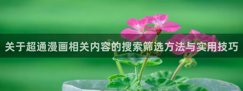 漫画网页入口