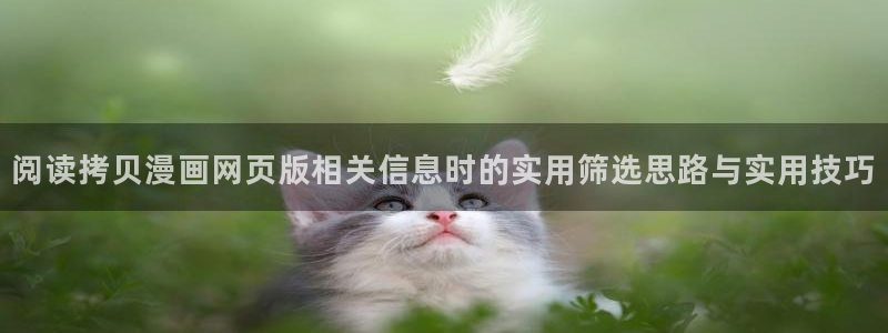 漫画网页版