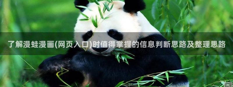 漫蛙网页版