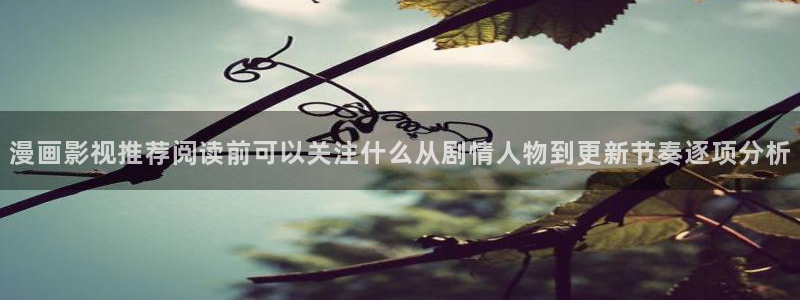 热血漫画：漫画影视推荐阅读前可以关注什么从剧情人物到更新节奏逐项分析