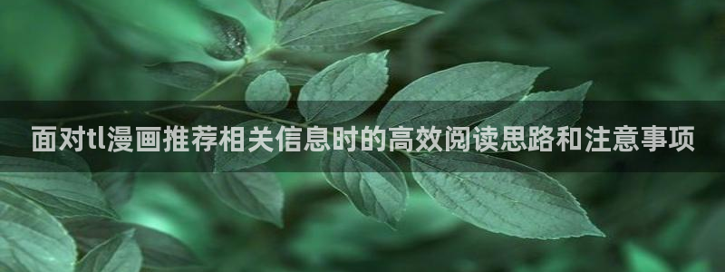 在线漫画：面对tl漫画推荐相关信息时的高效阅读思路和注意事项