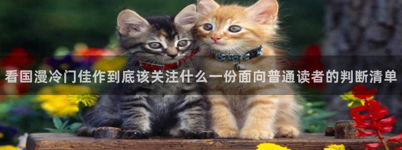 漫画连载:看国漫冷门佳作到底该关注什么一份面向普通读者的判断清单
