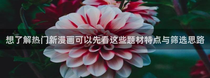 免费漫画网站:想了解热门新漫画可以先看这些题材特点与筛选思路